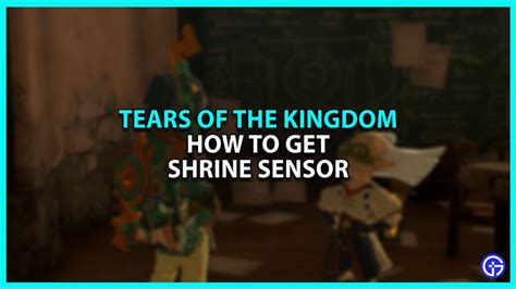 how to test the sensor tears of the kingdom|tears of the kingdom shrine sensor.